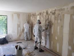 Best Attic Mold Removal  in Spring Valley, CA